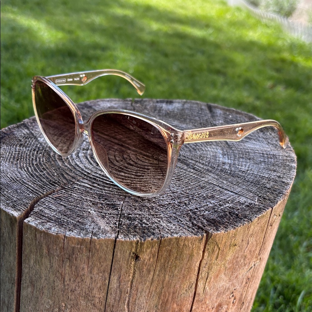 Coach taupe Tinted Sunglasses